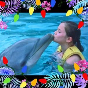 Meet your Posher, Ava